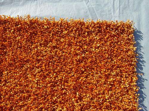 SHAGGY CARPET 402x301