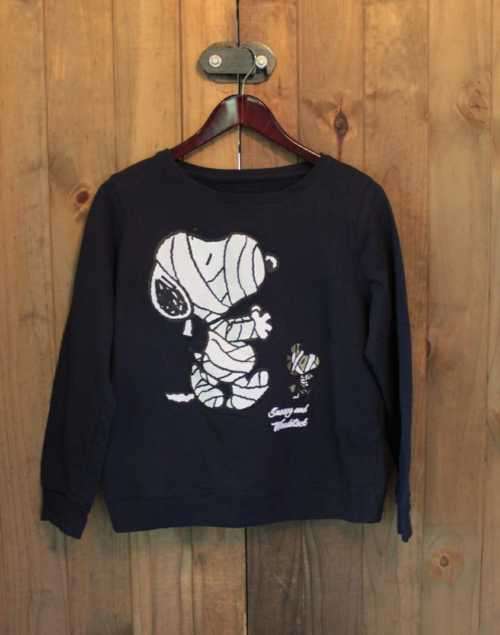 Peanuts Comic Sweat Shirt (Large)