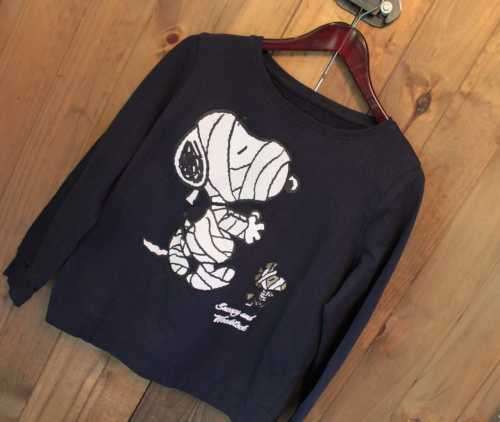Peanuts Comic Sweat Shirt (Large)