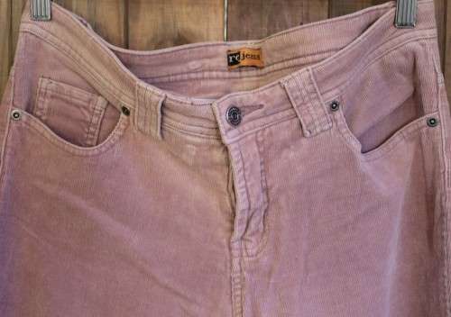 Vintage Pink Corduroy Pants (Size 34)