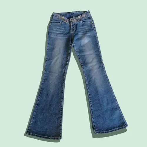 Vintage Y2K Lowrise Jeans (Size 8)