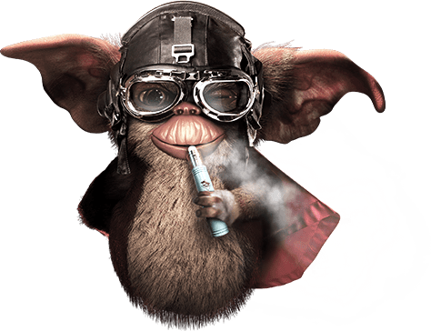 GIZMO E-LIQUID VAPE JUICE / 3 BOTTLES 120ML VALUE PACK DEAL