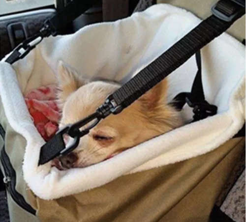 CAR TRAVEL PET BOOSTER CAR SET FOR DOGS OR CATS