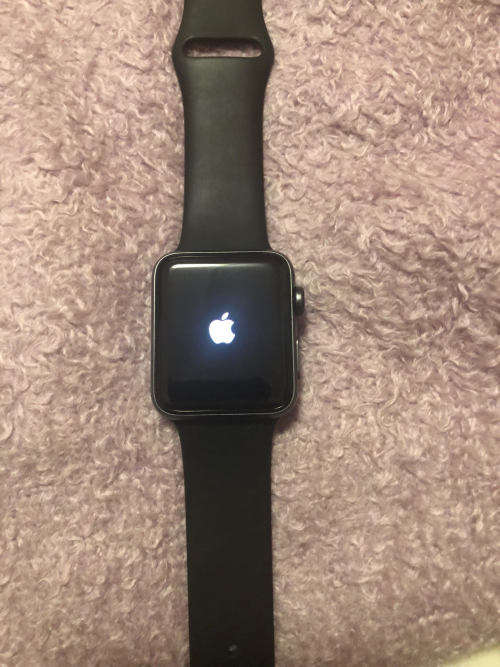 Apple Watch Series 3 (GPS) - 42mm - Color Space Grey