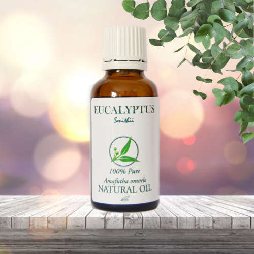 Pure Eucalyptus Essential Oil (30ml)