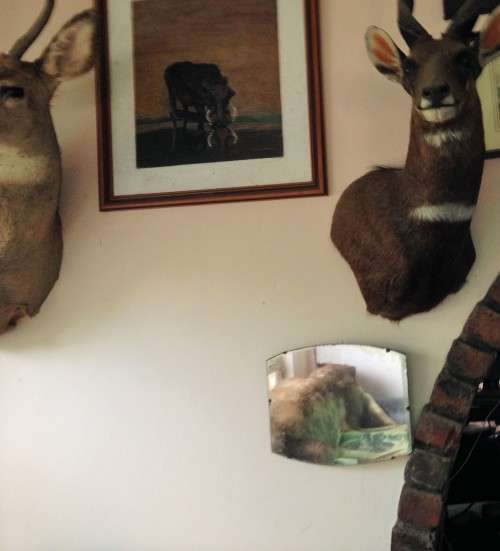 VINTAGE MIRRORLENGTH 360 MM Xwidth295 MM* READ *lot Damage* ]!!GREAT COUNTRY HOME DECOR!!!!