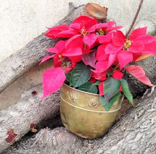 1 BRASS VASE embossed STYLE  SCOTISH  ART &CRAFTS BROAD  REPOUSSE DECOR TOP HAS BAND OF ROSES