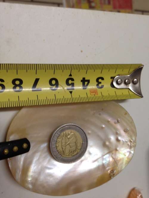 VINTGE LOTUS SCREWonPEARLearrings*ORIGINALboxSimilated+mopCAVIAR SPOON*GREAT COUNTRY HOME DECOR*l@@K