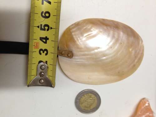 VINTGE LOTUS SCREWonPEARLearrings*ORIGINALboxSimilated+mopCAVIAR SPOON*GREAT COUNTRY HOME DECOR*l@@K