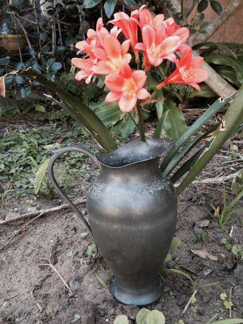 JUG  Pewter Large Petal shape spout Holland