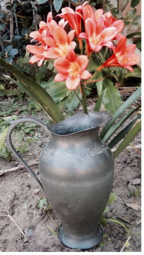 JUG  Pewter Large Petal shape spout Holland