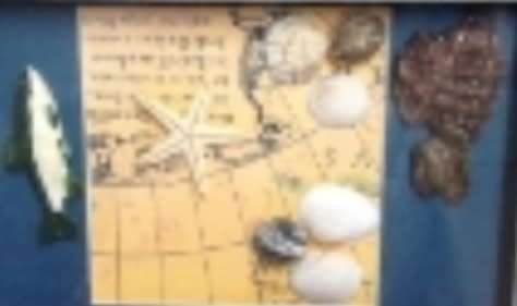 sea SHELL s KEY box holder or for Jewelry