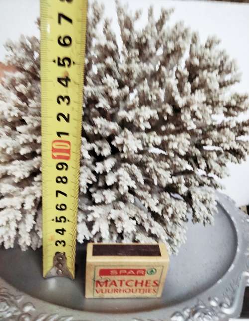 Sea Shells Coral large piece weight 964 grams LOOK At My BUY NOW LISTINGS NO WAITING