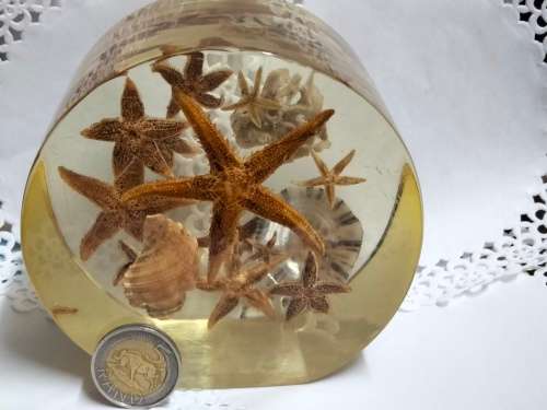 Seashells underwater Treasures  - Resin large  814 grams
