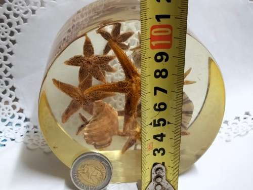 Seashells underwater Treasures  - Resin large  814 grams
