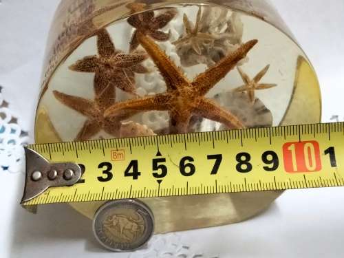 Seashells underwater Treasures  - Resin large  814 grams