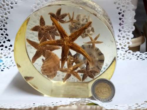 Seashells underwater Treasures  - Resin large  814 grams