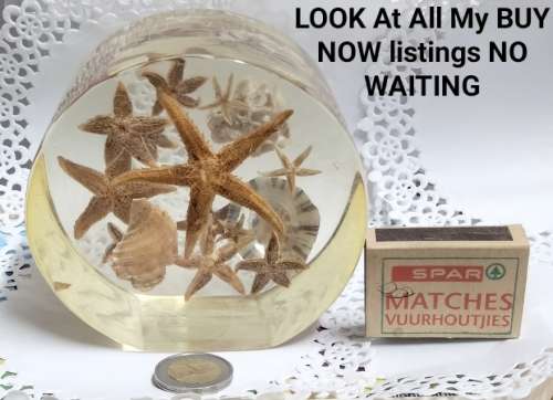 Seashells underwater Treasures  - Resin large  814 grams