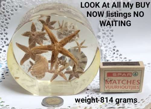 Seashells underwater Treasures  - Resin large  814 grams