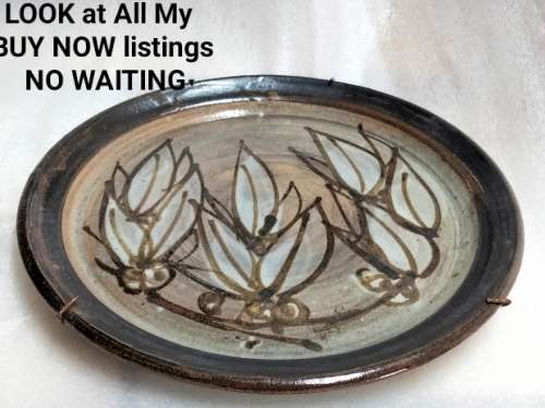 Wall Or Cabinet Plate Variegated blues browns Art signed G Pattern has octopus holder to hang