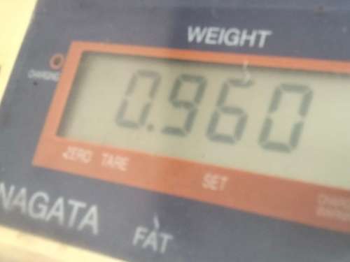 ROSE Bowl VASE made in England Expressly for JM Dempster 8095 York Street Sydney