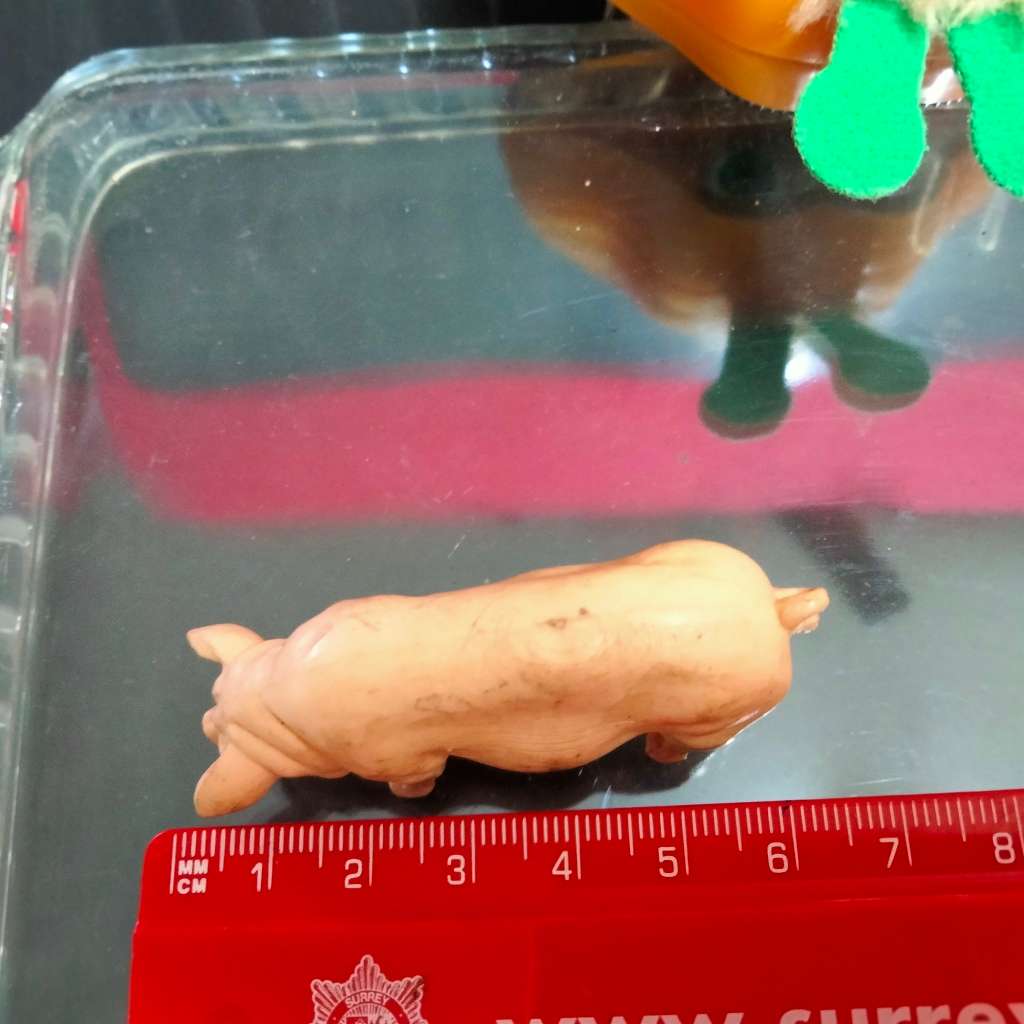 2001 Furby McDonalds figurine hard plastic+Buddy pig  Look at my Buy Now listings No Waiting