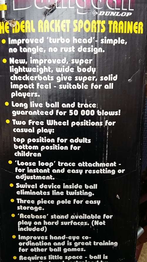 SWINGBALL SET : POLE, BALL AND 2 BATS