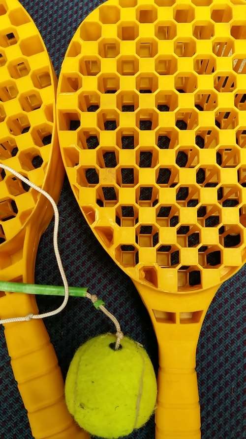 SWINGBALL SET : POLE, BALL AND 2 BATS