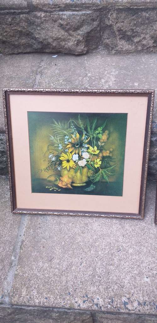 Pair of Beautiful Botanical Prints