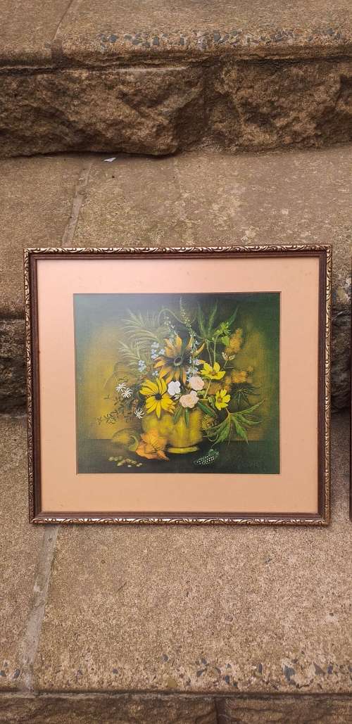 Pair of Beautiful Botanical Prints