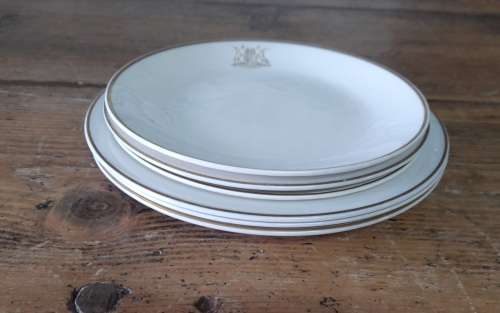 SOUTH AFRICAN RAILWAYS     CROCERY    ONE DINNER PLATE    DIAMETER 25 CM