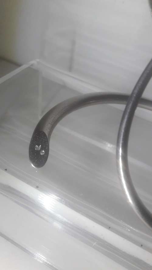 Swarovski Austria Crystal flower and bud ornament 20th Century