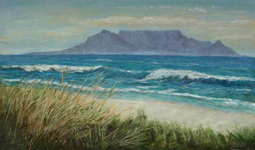 Table Mountain with Grasses, acrylic on thick board, 500 x 295mm