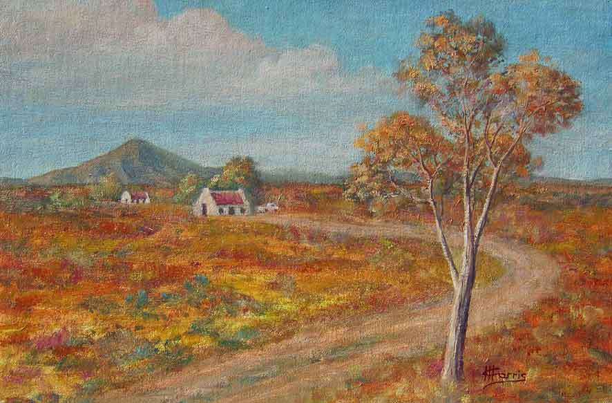 Karoo Country with Tree