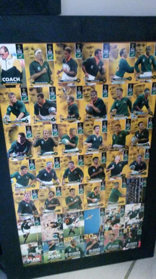 Springbok world cup and lions tour frames