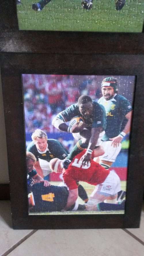 Springbok world cup and lions tour frames