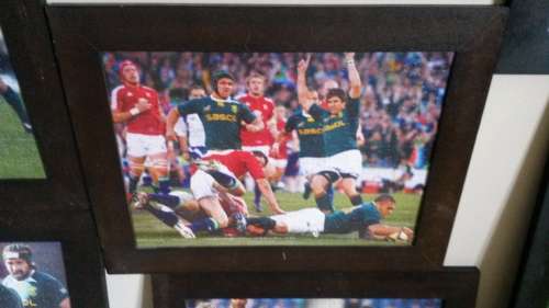 Springbok world cup and lions tour frames