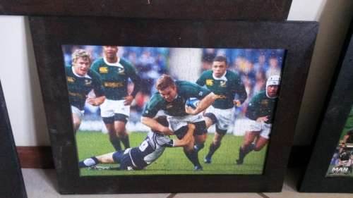 Springbok world cup and lions tour frames