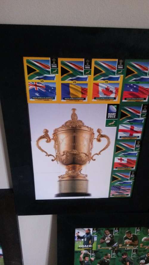 Springbok world cup and lions tour frames