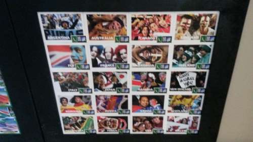 Springbok world cup and lions tour frames