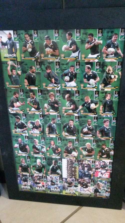 Springbok world cup and lions tour frames