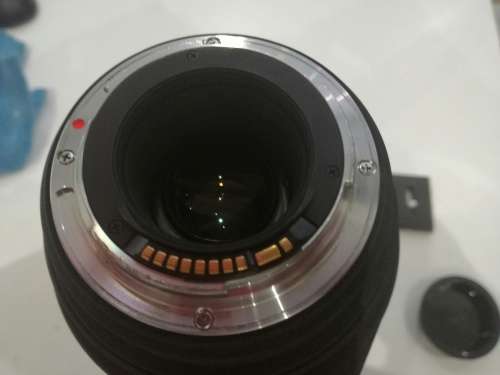 Advanced Photographers*SIGMA DG*150-500MM APO HSM*R14000*ULTRA ZOOM*OPTICAL STABILIZER*