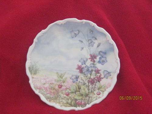 Royal Albert  Flowers of the Hedgerow Collection - Harebell and Heather