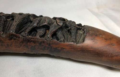 Unique wood carving of Elephants in a tusk shape - the perfect display piece