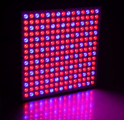 *LOCAL STOCK* 14W 225 LED Full Spectrum Hydroponic Plant Growing Light Panel Lamp + Hanging Kit