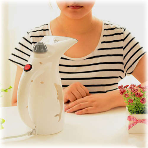 Garment Steamer Portable Handheld Fabric Steamer Fast Heat-up for Home and Travel Unboxed