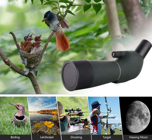 20-60x60 Zoom Fully Multi-Coated BAK4 45° Angled Spotting Scope Unboxed