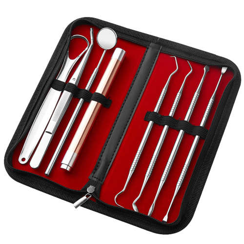 Professional Stainless Steel Dental Hygiene Kit - 8 Piece Unboxed