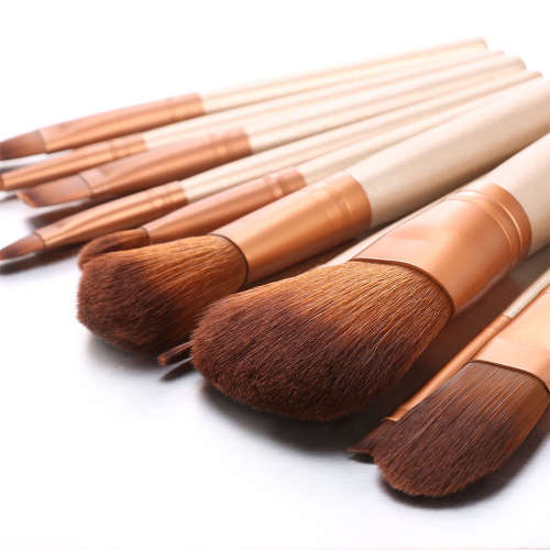 12 pcs Foundation Makeup Brushes Set-Champagne Unboxed