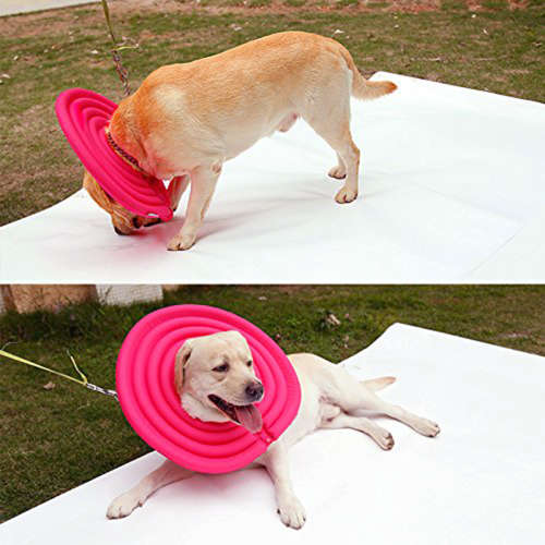 Anti Lick Pet Protective Collar (Size:L) - Rose Red Unboxed